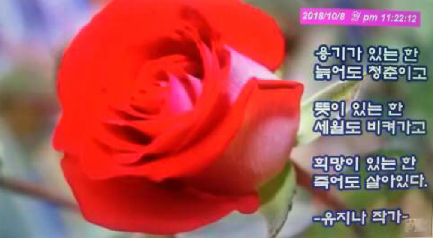 5d115fb6-fb99-42d4-9998-3134117e558a.PNG