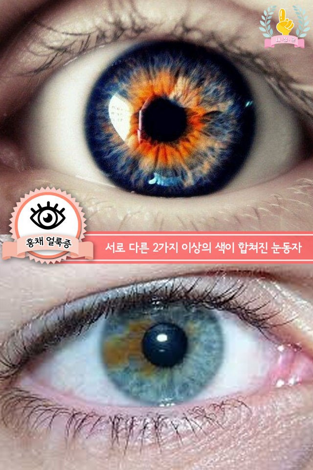 d387990d-4cd7-40d9-abf8-3b7e3310a594.jpg