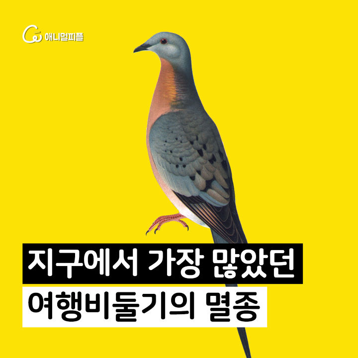 8197beb5-f735-4db3-ab80-b668d129ebbf.jpg