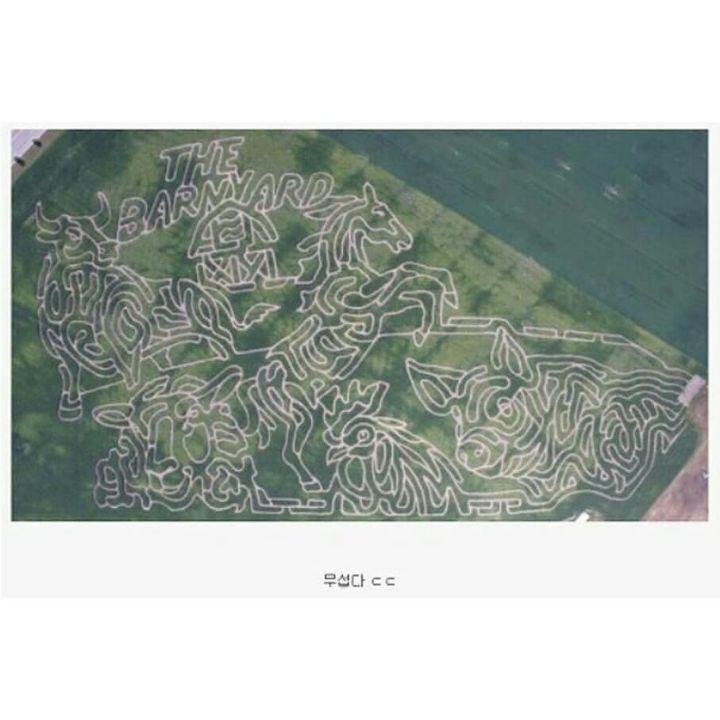 10f7dd72-8c45-4058-8dd9-0f789b645b60.jpg