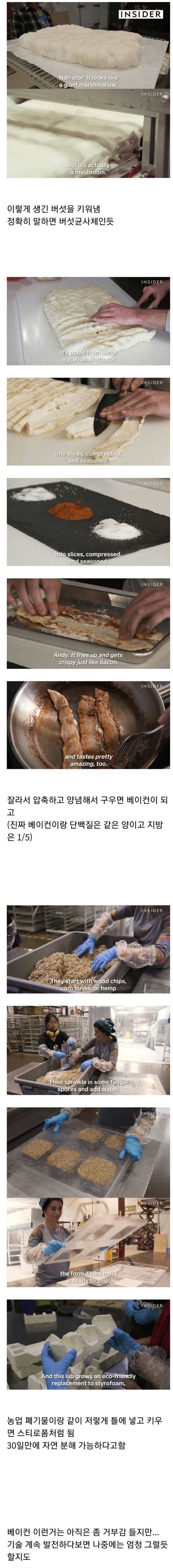 신종 버섯 개발