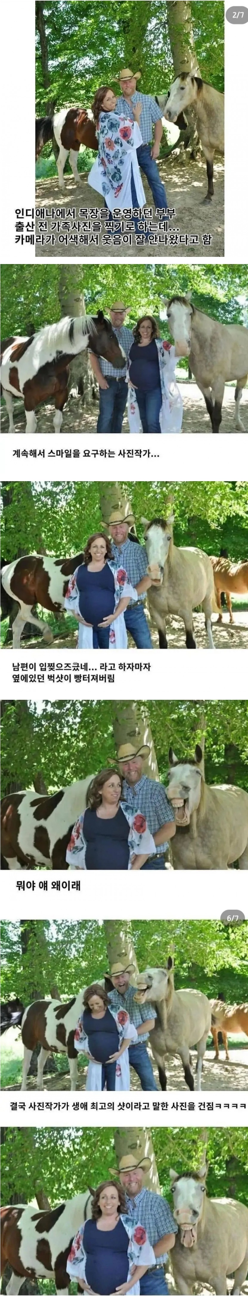 임신 기념 사진